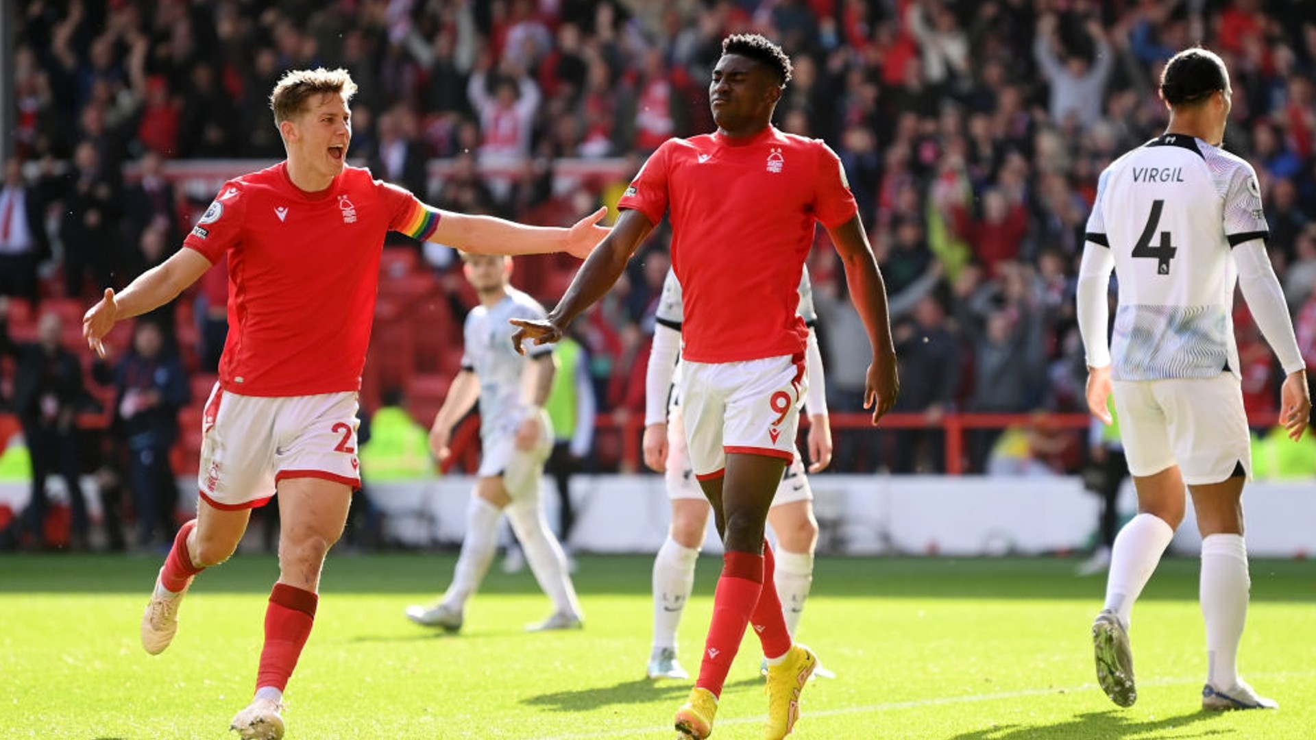 让我们从林 让我们从林